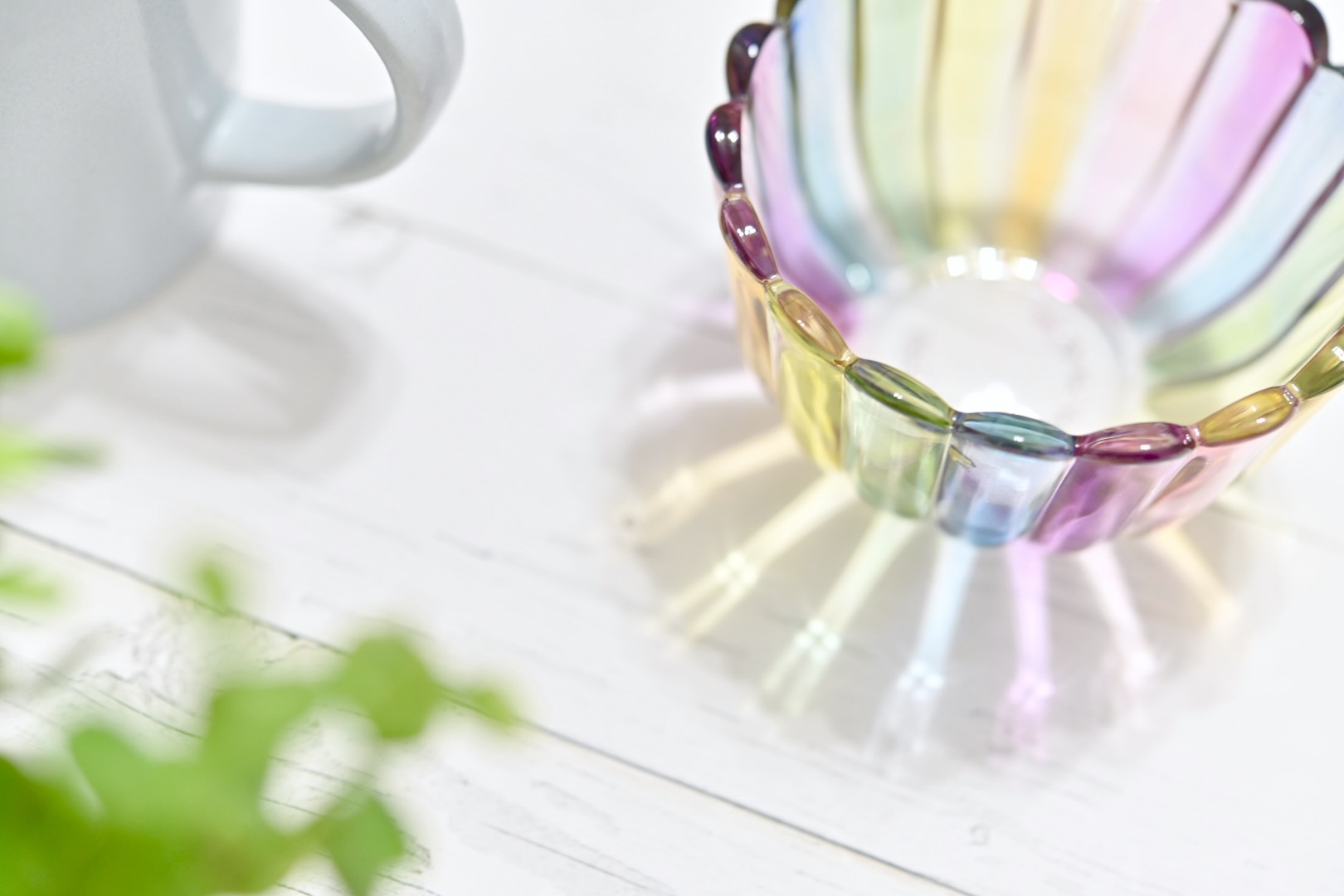 １月の講習会　おうち撮影のライティング方法